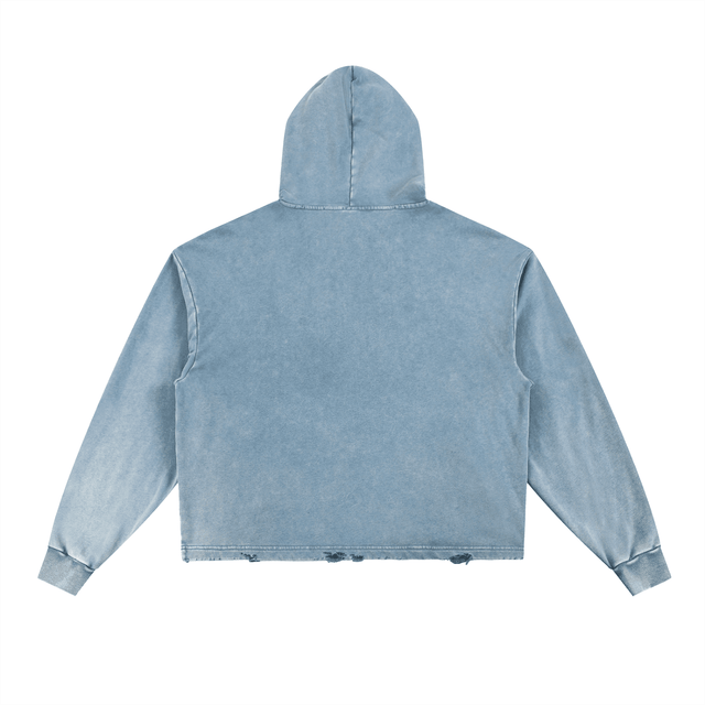 AQUEOUS — Hoodie + Digital Download + eBook - Avodah Dynamics